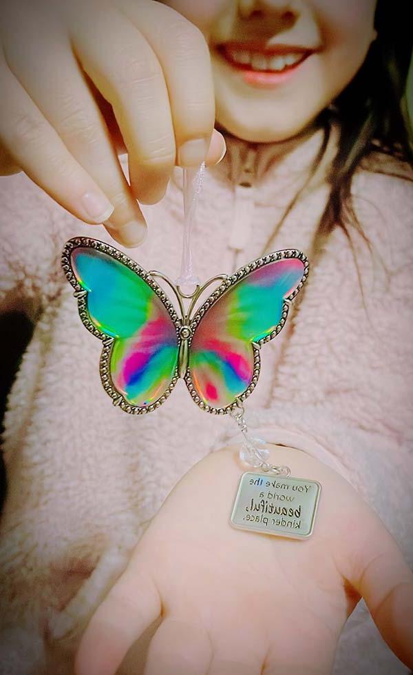 Rainbow Butterfly